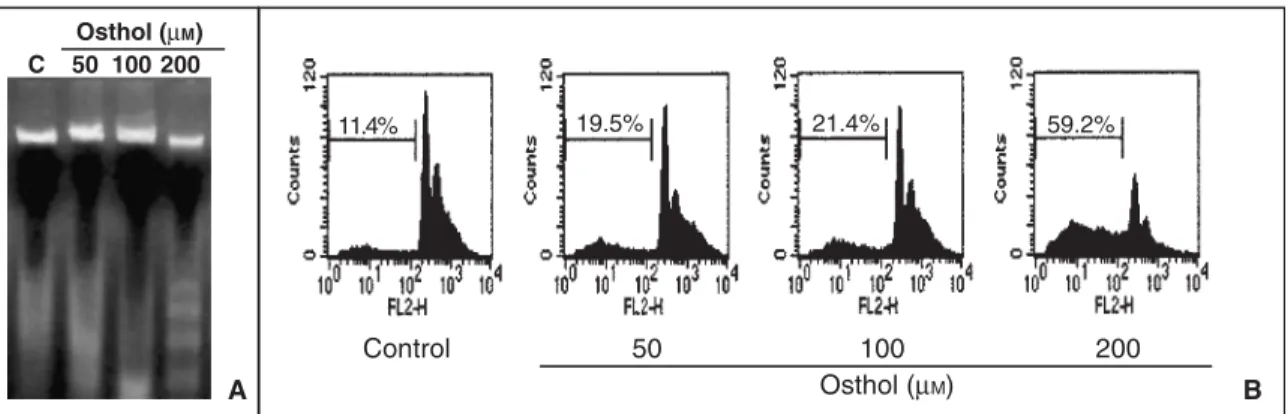 Figure 5.  Western blot analysis of PARP proteins in osthol- osthol-treated HeLa cells for 48 h