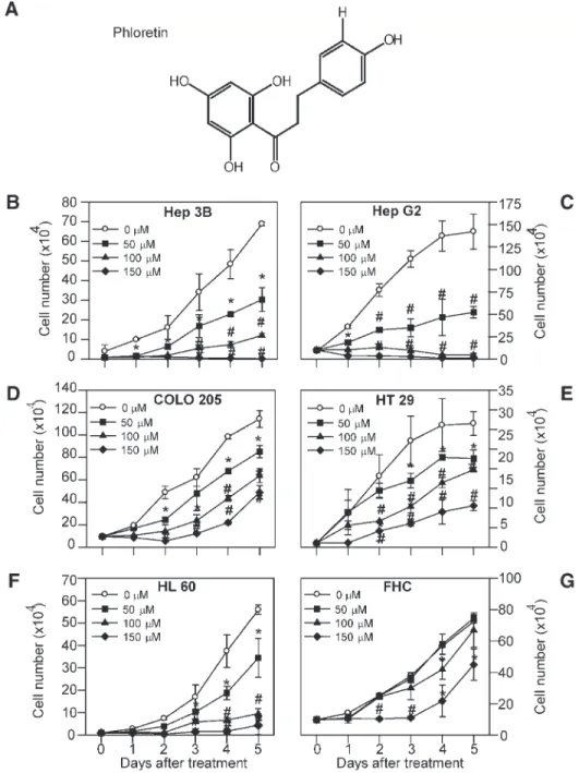 Figure 2. Dose- and time-dependent effects of Ph-induced cell growth inhibition in human cancer and normal cells