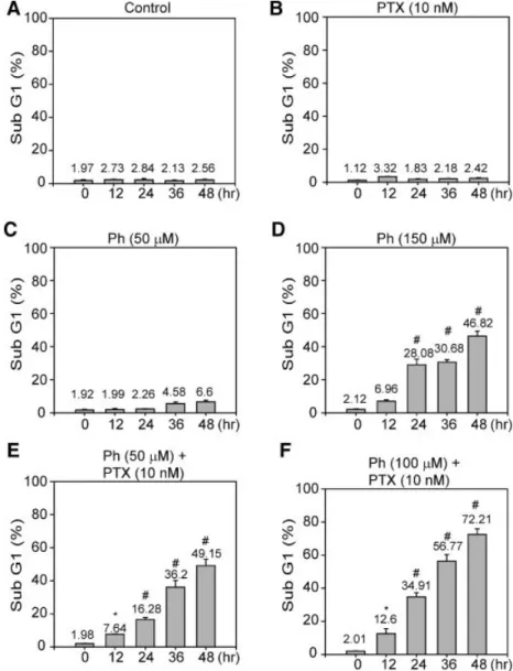 Figure 4. Ph enhances PTX-induced apoptosis of human Hep G2 cells. Human Hep G2 cells were treated with (A) DMSO, (B) PTX (10 nM), (C) Ph (50 mM), or (D) Ph (150 mM) for the indicated times