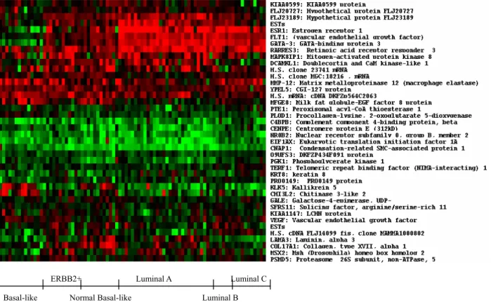 Figure 3：Expression profiles of predictor genes (40 genes) from experimental dataset. The x-axis denotes the tumor  types