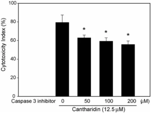 Fig. 4. Cytotoxic effects of cantharidin cotreated with a caspase 3 inhibitor for 24 h
