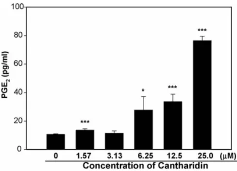 Fig. 8. PGE2 production from cantharidin-treated T 24 cells. Statistical analysis was done using the Student’s t-test