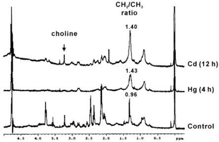FIGURE 5. Comparison of  1 H NMR spectra of MRC-5 cells between Cd treatment and Hg treatment.