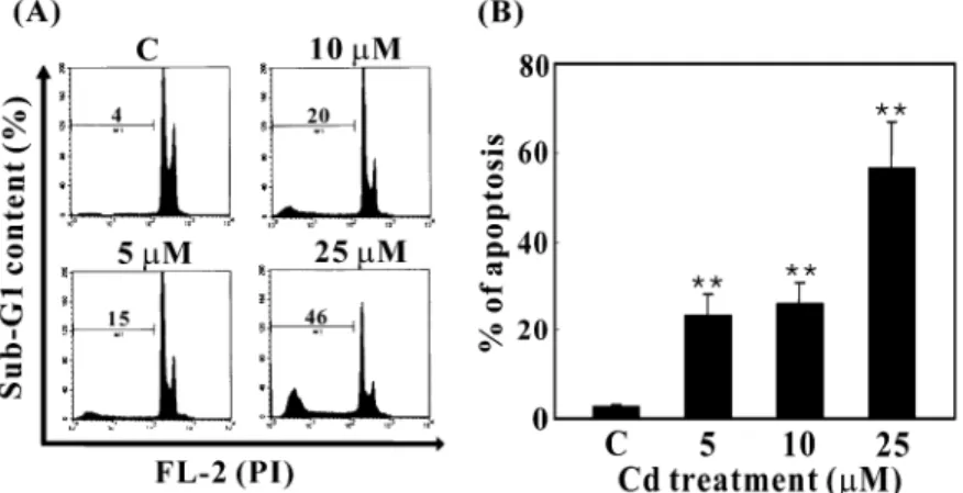 FIGURE 1. Dose-response and time course of cell death induced by