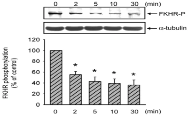 Figure 1. FKHR activation in Aβ-treated C6 glioma cell. C6 glioma cells were  treated with 20 µM Aβ 25-35  for the indicated times, and FKHR-p was detected by  Western blotting