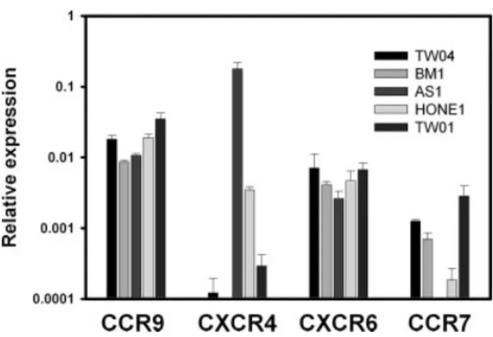 Figure 1. Quantitative real-time RT-PCR analysis of CCR7, CCR9, CXCR4, and CXCR6 expression in NPC cell lines