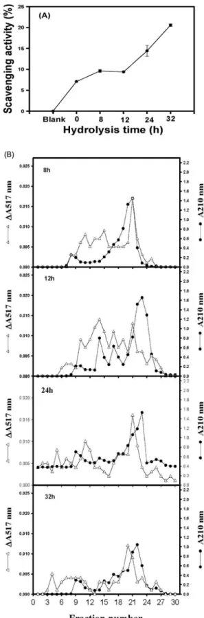 Figure 7.  TheDPPHscavengingactivity(A)andchromatogramsonSephadexG-50(F)column(B)ofpeptichydrolysatesofTN1 dioscorin.TN1dioscorinwashydrolyzedbypepsinat37ºCfor8,12,24and32h.Afterhydrolysis,0.5mLof0.5MTris-HClbuffer