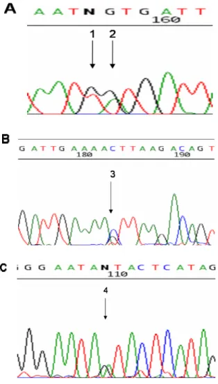 Figure 1. Novel CFTR mutations identified in Taiwanese CBAVD patients.
