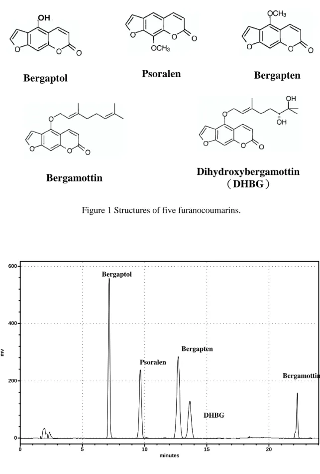 Figure 2 HPLC chromatogram of five standard furanocoumarins. The retention time of each furanocoumarin is bergaptol at 7.13 min, Psoralen at 9.65 min, bergapten at 12.70 min, dihydroxybergamottin at 13.63 min and bergamottin at 22.26 min.