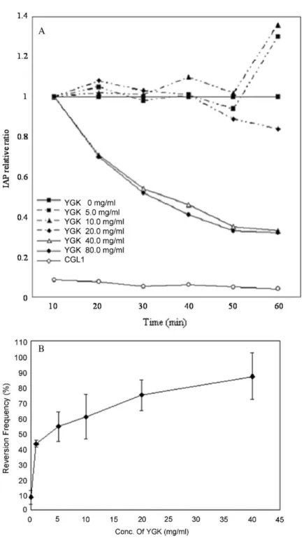 Fig. 3. The effect of YGK on IAP activity and reversion frequency. (A) IAP activity effects of HeLa 0400 and CGL1 by YGK