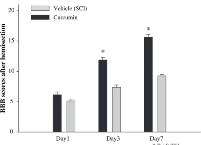 FIG. 1. Curcumin improved neurologic deficits after spinal cord hemisection. Treatment with curcumin resulted in a significant  im-provement of the BBB scores for the affected hindlimb compared with vehicle after SCI (curcumin compared with vehicle *P &lt;