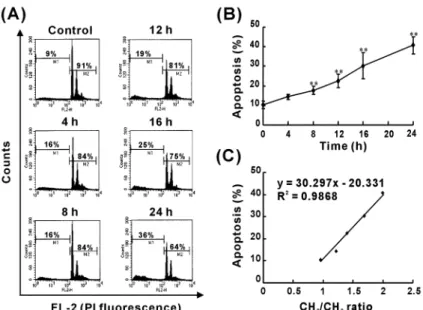 FIGURE 4. Correlation between the hypodiploid DNA content and CH 2 /CH 3  ratio in Cd-induced apoptosis