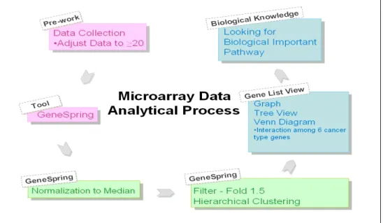 Figure 1: Flowchart for the process to analyze microarray datasets.