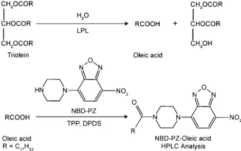 Figure 1. The principle for determination of LPL activity. OA, the product
