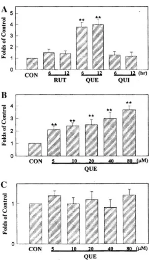 Fig. 4. Activation of caspase 3 but not caspase 1 activity in QUE (40 mM)-treated HL-60 cells