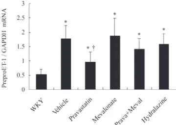 Fig. 2. Left ventricular (LV) preproendothelin-1 (preproET-1) mRNA levels in WKY rats and vehicle-treated, pravastatin-treated, mevalonate-treated,  prav-astatin ⫹ mevalonate (combination)-treated, and hydralazine-treated SHR