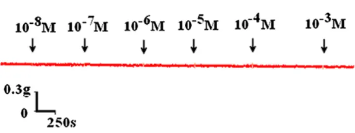 Figure 2 Representative time course of cumulative relaxation effect of bupivacaine on 10 6 M methacholine-induced rat tracheal contraction.