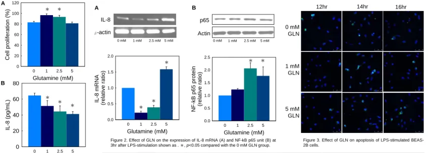 Figure 3. Effect of GLN on apoptosis of LPS-stimulated BEAS- BEAS-2B cells.