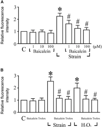 Fig. 2 Effects of baicalein on strain-increased ROS formation. A Effect of baicalein (1± 100 mM) on strain-induced ROS generation