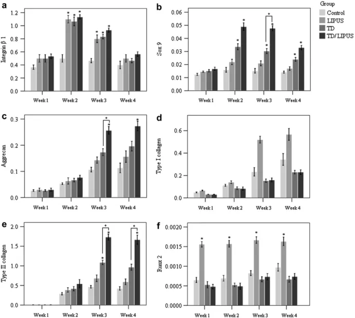 Fig. 4. Box plots of mRNA expression levels of integrin b1, Sox9, aggrecan, type I collagen, type II collagen and Runx2 under different treatment conditions (graphic presentation of Table 1 data).
