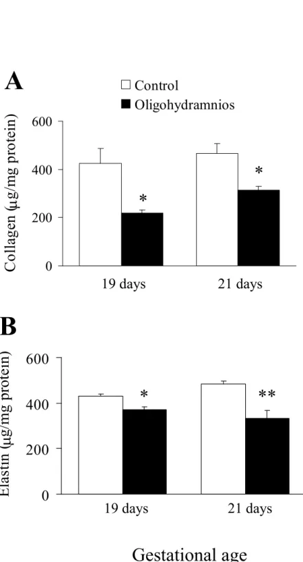 Figure 4 0200400600 Collagen ( mg/mgprotein) Control Oligohydramnios 0200400600Elastin( mg/mgprotein) 19 days 21 days* * 19 days 21 days Gestational age* **AB