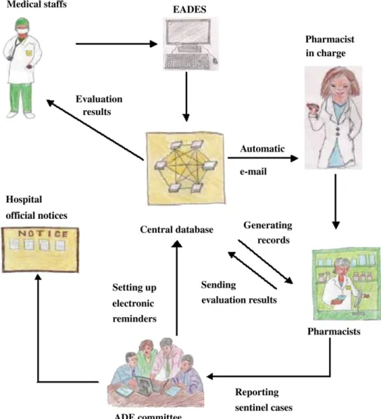 Figure 1 All data of the electronic adverse drug event management system (EADES) must be processed in the central database (Y.-H.Y