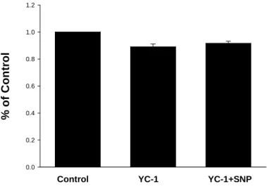 圖 4. YC-1 單獨或合併 SNP 的作用皆不會引起 cGMP 濃度的增加。