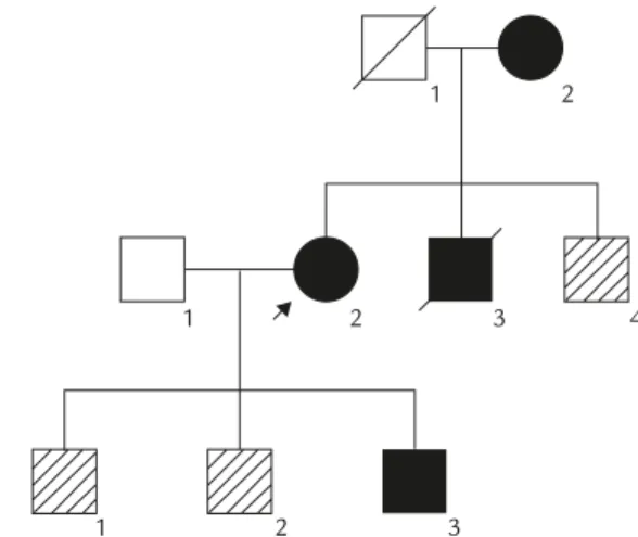 Figure 1. Family pedigree of the patients with MELAS syn- syn-drome. The proband is indicated by an arrow