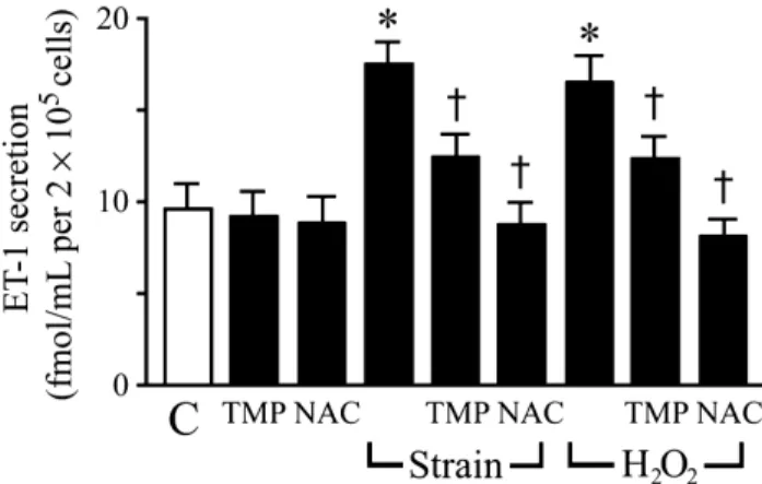 Fig. 5 2,3,5,6-Tetramethylpyrazine (TMP) modulates strain-induced endothelin (ET)-1 secretion, which is compatible with an anti-oxidant action