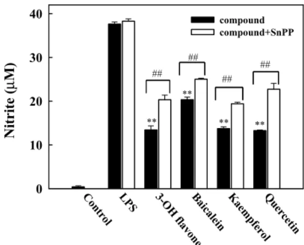 Fig. 8. Tin protoporphyrin (SnPP) attenuation the inhibitory effects of flavonoids on LPS-induced NO production in RAW264.7 cells