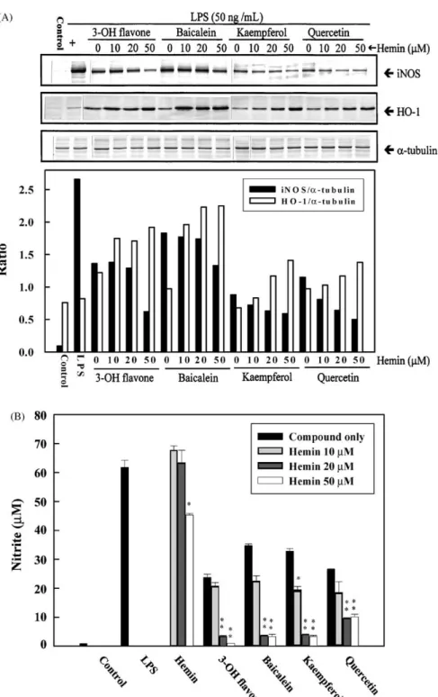 Fig. 7. Stimulation by low doses of hemin of the inhibitory activities of flavonoids on LPS-induced NO production