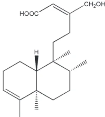 Fig. 1. Chemical structure of 16-hydroxycleroda-3,13(14)E-dien-15-oic acid (PL3S).
