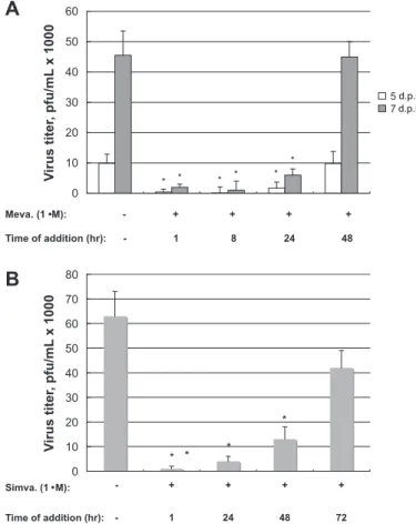Figure 1 Time-dependent effects of (A) mevastatin or (B) simvastatin at 1 m M on human cytomegalovirus replication