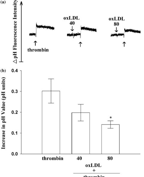 Figure 6. Eﬀect of oxLDL on the thrombin-triggered intracellular pH increase in BCECF-AM-loaded platelets