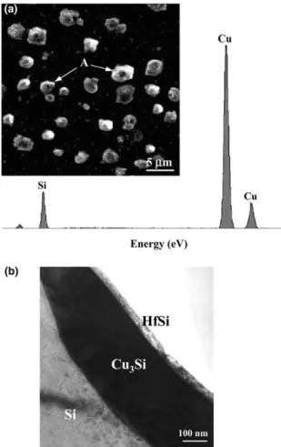 Fig. 8 shows the SEM-EDXS and cross-sec-