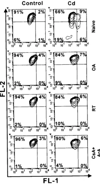 Fig. 6. Suppression of the Cd-induced decline of the mitochon- mitochon-drial membrane potential by inhibitors of mitochonmitochon-drial ETC or MPTP