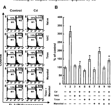 Fig. 4. Modulation of the apoptogenic activity of Cd by scavenging compounds. Cells were pretreated with scavenging compounds, such as 2.5 mM NAC, 5 mM tiron, and 40 mM mannitol, for 1 h and then treated with 100 mM Cd for another 16 h and subsequently ana