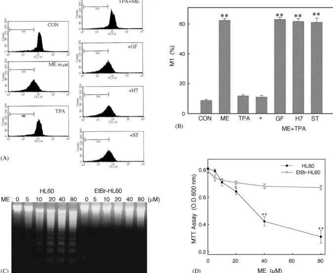 Fig. 7. Reduction of the mitochondrial membrane potential involved in ME-induced apoptosis