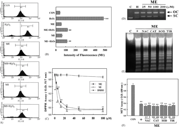 Fig. 4. ME-mediated apoptosis is independent of the production of reactive oxygen species (ROS)