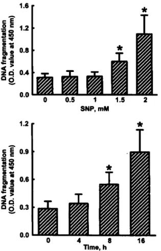 Fig.  1.  Effects of  SNP on  DNA fragmentation.  Osteoblasts  prepared  from neonatal rat  calvaria were exposed to 0.5,  1,  1.5, and 2mM SNP  for  16 h  ( f o p  panel) or 2mM SNP for 4,  8,  and  16h (bottom panel)