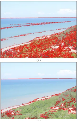 Fig. 3. (a) An image with two different textures. (b)  The segmentation result by the proposed SOM  using two DCT coefficients