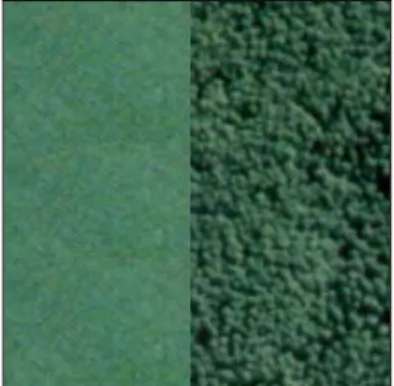 Fig. 6. The segmentation result of Fig.5. (a) The  result when the input features are the intensities of  RGB