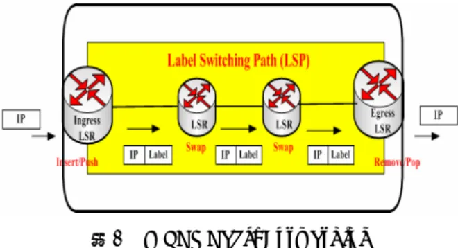 圖 4     在 LSR 中選擇性加入 Label  6PE 選擇性加入 Label，可使 IPv4 與 IPv6 共存 於 TANet MPLS 網域的時期，網管人員可選擇性地 將 IPv6 網段加入 Label，以減少過境時的複雜性與 維運上的負擔。 3.2  實驗網路架構  本研究之實驗網路架構是以東南科技大學及 台北醫學大學作為 CE 路由器，模擬連接至政治大 學與台灣大學之 PE 路由器，而 PE 路由器與核心路 由器 Core-P 相連如圖 5 所示。 