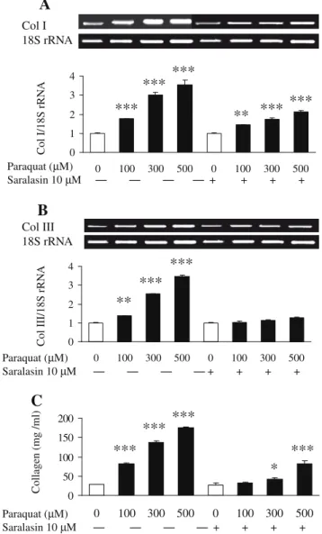 Fig. 4. Effects of paraquat alone or combined with saralasin on (A) type I collagen (Col I) mRNA expression, (B) type III collagen (Col III) mRNA expression, and (C) total collagen content in MRC-5 cells