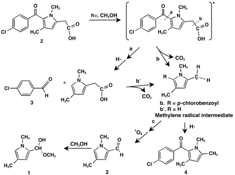 Figure 3.  A proposed photodegradation reaction scheme of zomepirac (a)  α-