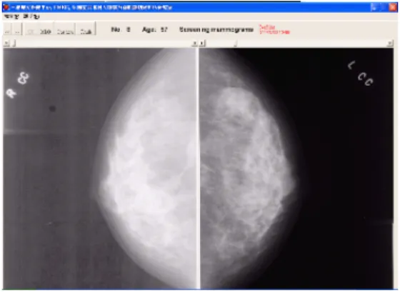 Figure 1. Illustration of ImageViewer 