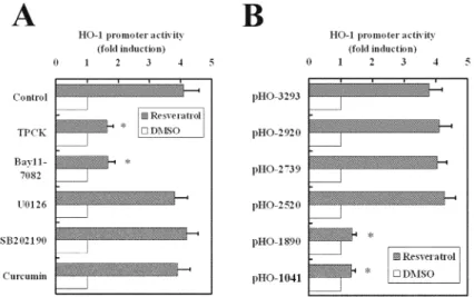 FIGURE 2. Resveratrol-mediated HO-1 promoter activity in relation to NF- κB and