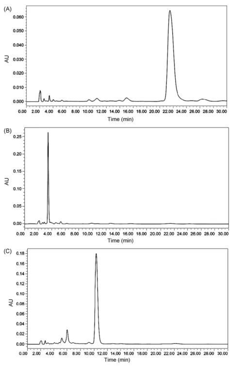 Fig. 4. HPLC chromatogram of fractions obtained by CPC. HPLC conditions: reversed-phase LiChrospher 100 RP-18e column (4 mm × 250 mm, 5 ␮m, Merck); column tem- tem-perature: 40 ◦ C; mobile phase: 0.05% TFA–acetonitrile (68:32); ﬂow rate: 1.0 ml/min, monito