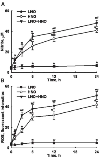 Figure 1. Effects of sodium nitroprusside (SNP) on cellular nitric oxide (NO) and intracellular reactive oxygen species (ROS) levels