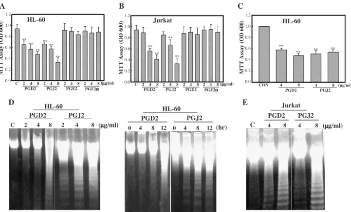 Fig. 2. Cytotoxic effect of PGD 2 and PGJ 2 , but not of PGE 2 or PGF 2a , in human HL-60 and Jurkat leukemia cells